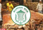 কোরবানির পশুর চামড়া কিনতে বিশেষ সুবিধার ঘোষণা বাংলাদেশে ব্যাংকের