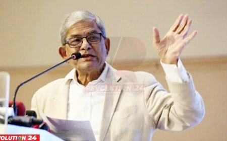বিএনপি সংবিধান সংস্কার পরিষদ গঠনের ব্যাপারে একমত হয়নি: মির্জা ফখরুল