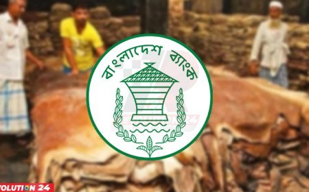 কোরবানির পশুর চামড়া কিনতে বিশেষ সুবিধার ঘোষণা বাংলাদেশে ব্যাংকের