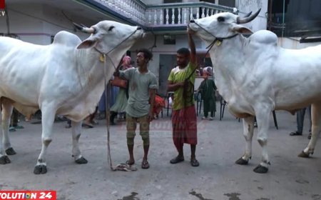 রাজধানীর খামারেই হাটের আমেজ, চলছে ওজন আর দামের প্রতিযোগীতা