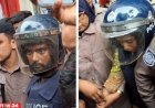 রামিসা ধর্ষণ ও হত্যা মামলায় সোহেল-স্বপ্নার মৃত্যুদণ্ড