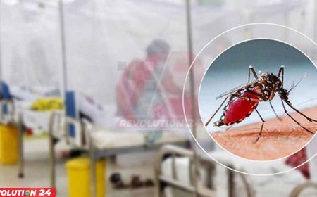 চোখ রাঙাচ্ছে ডেঙ্গু, একদিনে ২ জনের মৃত্যু
