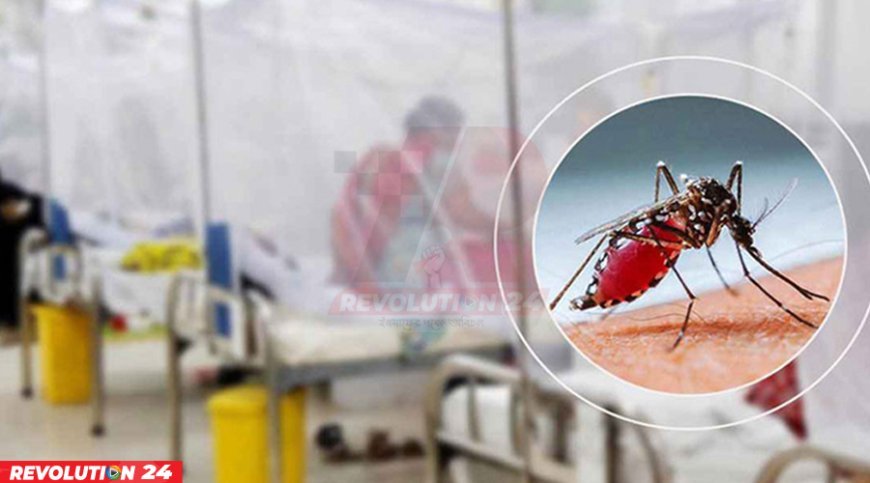 চোখ রাঙাচ্ছে ডেঙ্গু, একদিনে ২ জনের মৃত্যু