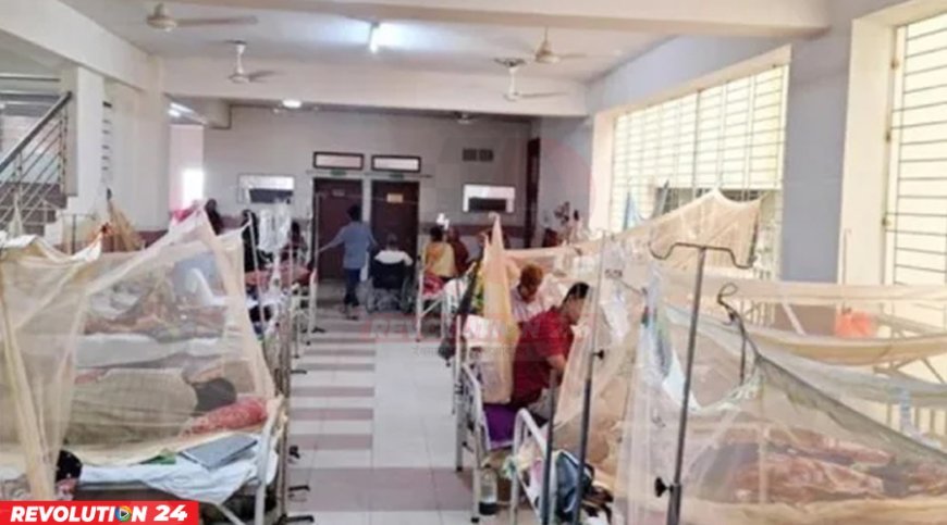 ডেঙ্গুতে আরও একজনের মৃত্যু