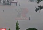 চীন বন্যায় ভেসে গেল খামারের ৯০০ সাপ, লোকালয়ে আতঙ্ক