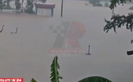 চীন বন্যায় ভেসে গেল খামারের ৯০০ সাপ, লোকালয়ে আতঙ্ক