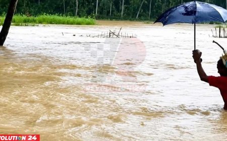 চট্টগ্রামে বন্যার মধ্যে সাপের কামড়ে আহত ৭৫