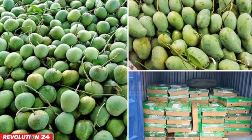 উপহার হিসেবে ভারতে ১১০০ কেজি আম পাঠাল বাংলাদেশ