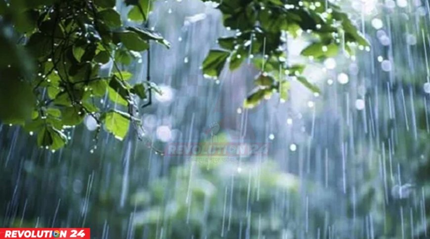 ১৭ অঞ্চলে ঝড়ের আভাস, চার বিভাগে অতি ভারী বৃষ্টির সতর্কতা