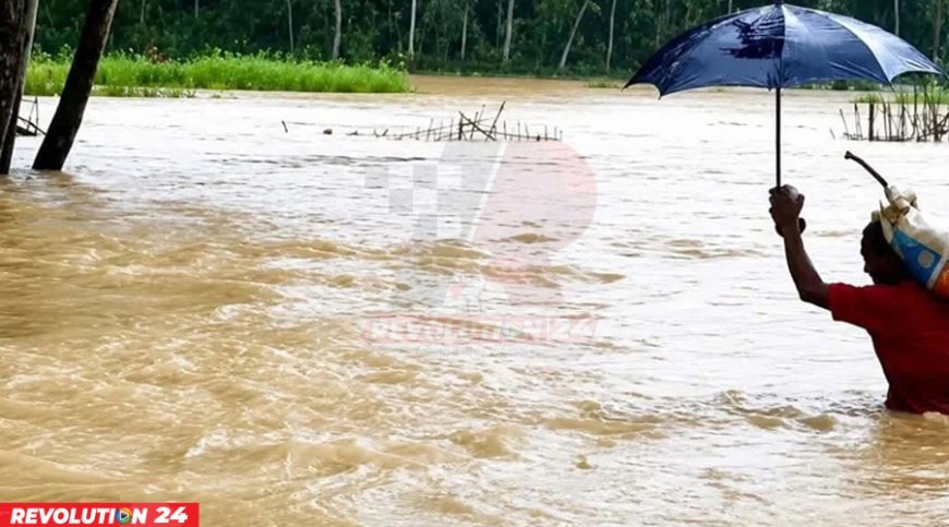 চট্টগ্রামে বন্যার মধ্যে সাপের কামড়ে আহত ৭৫