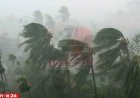 দুপুরেই ১১ জেলায় ঝড়-বৃষ্টি! ঢাকাসহ নদীবন্দরে সতর্কসংকেত