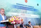 সড়ক দুর্ঘটনার বড় কারণ অদক্ষ চালক ও অসচেতন পথচারী
