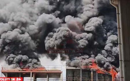 ধানমণ্ডি-মহাখালীতে আগুন কাজ করছে ফায়ার সার্ভিসের ৭ ইউনিট