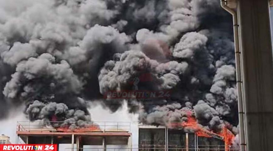 ধানমণ্ডি-মহাখালীতে আগুন কাজ করছে ফায়ার সার্ভিসের ৭ ইউনিট