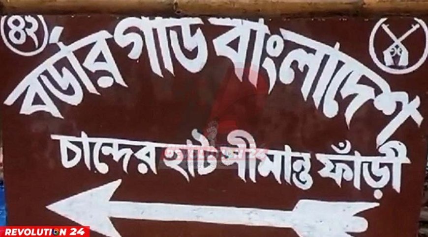 বিএসএফের গুলিতে বাংলাদেশি নিহত