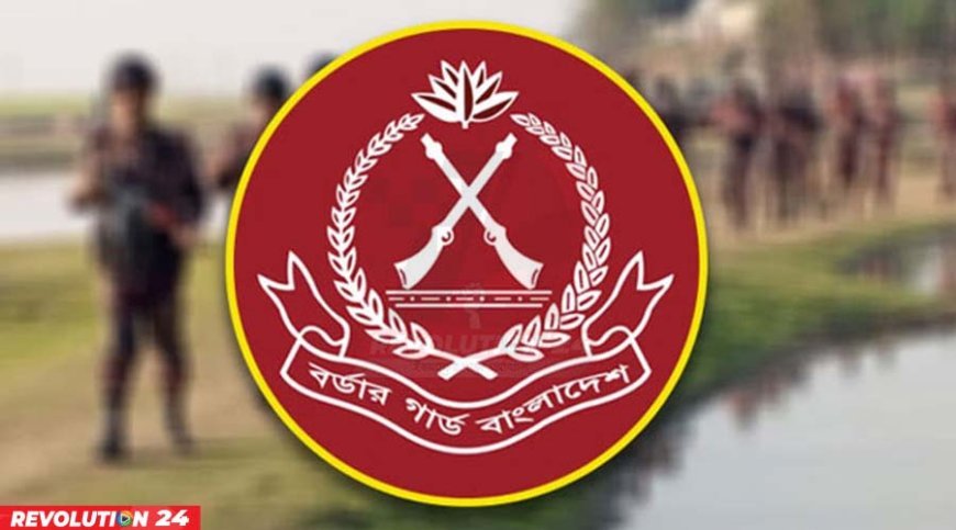 বিজিবির সীমান্ত ভাতা বাড়ল গ্রেডভেদে নতুন হার ঘোষণা