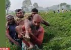 বিএসএফের গুলিতে আহত বাংলাদেশি পাল্টা ফায়ার বিজিবির