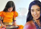 ৭ বছরেই ১২ ভাষায়  পারদর্শী অসিনের মেয়ে