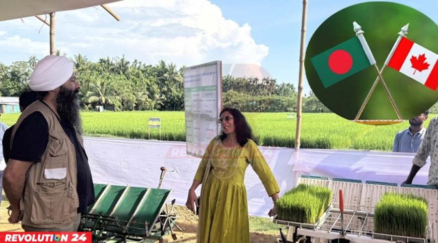 কৃষিতে বাংলাদেশের পাশে কানাডার নতুন উদ্যোগ